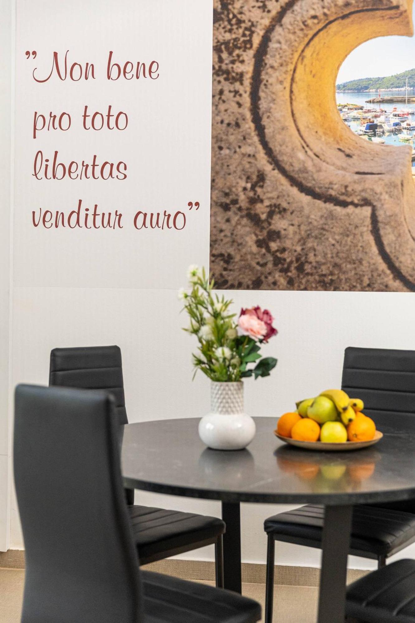 Placa Apartment Ντουμπρόβνικ Εξωτερικό φωτογραφία